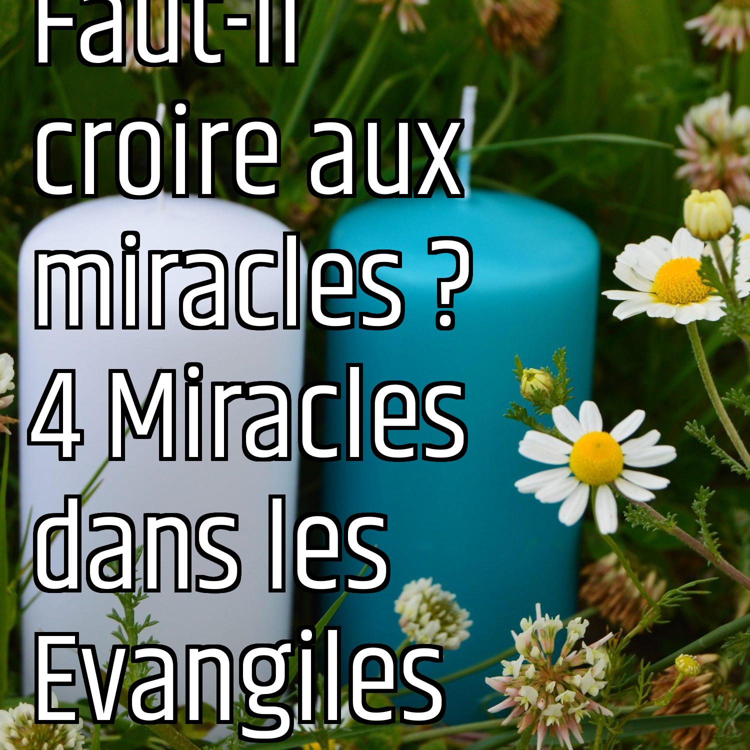 Faut-il croire aux miracles ? 4 Miracles dans les Evangiles episode artwork