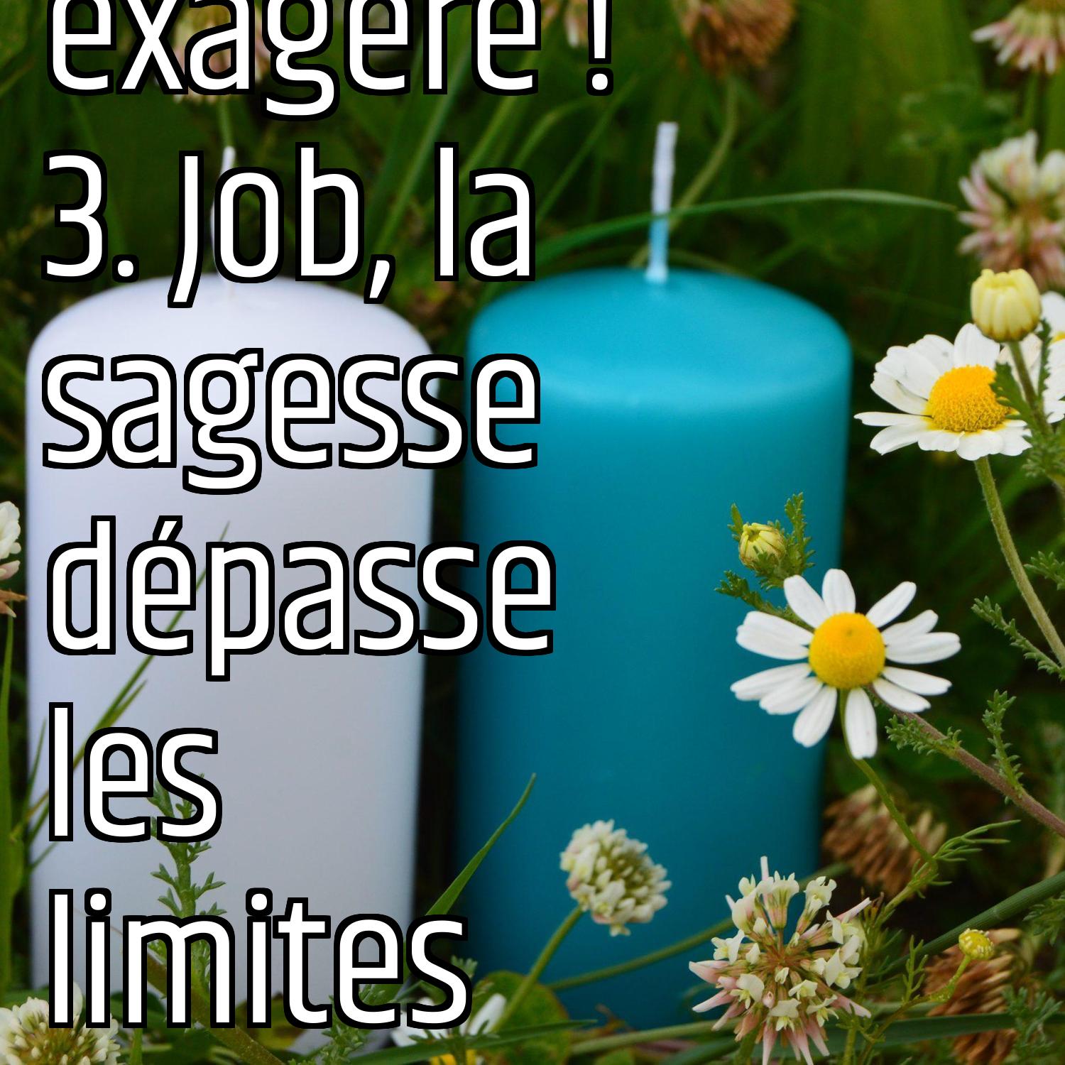 Dieu exagère ! 3. Job, la sagesse dépasse les limites episode artwork