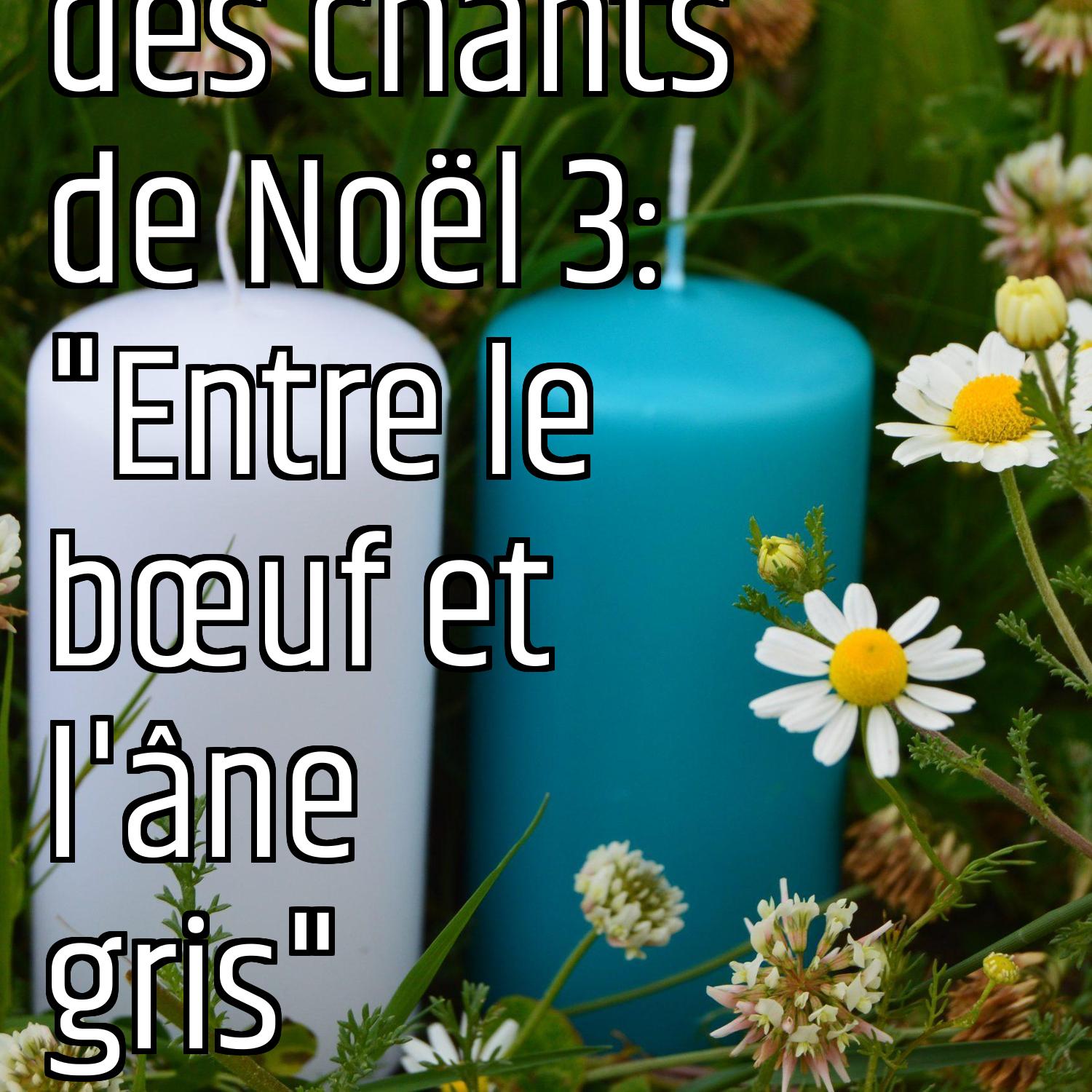 Le message des chants de Noël 3: "Entre le bœuf et l'âne gris" episode artwork