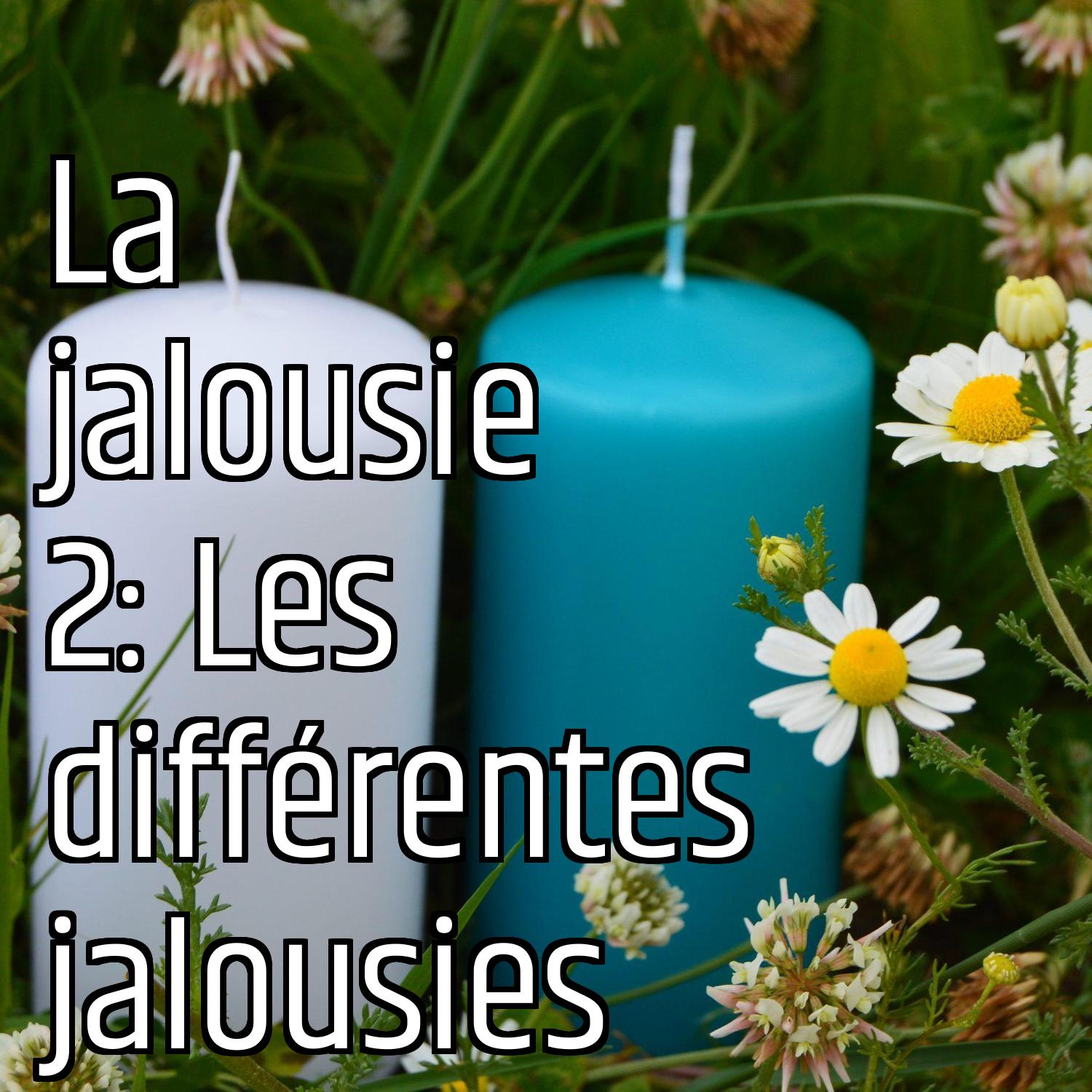 La jalousie 2: Les différentes jalousies