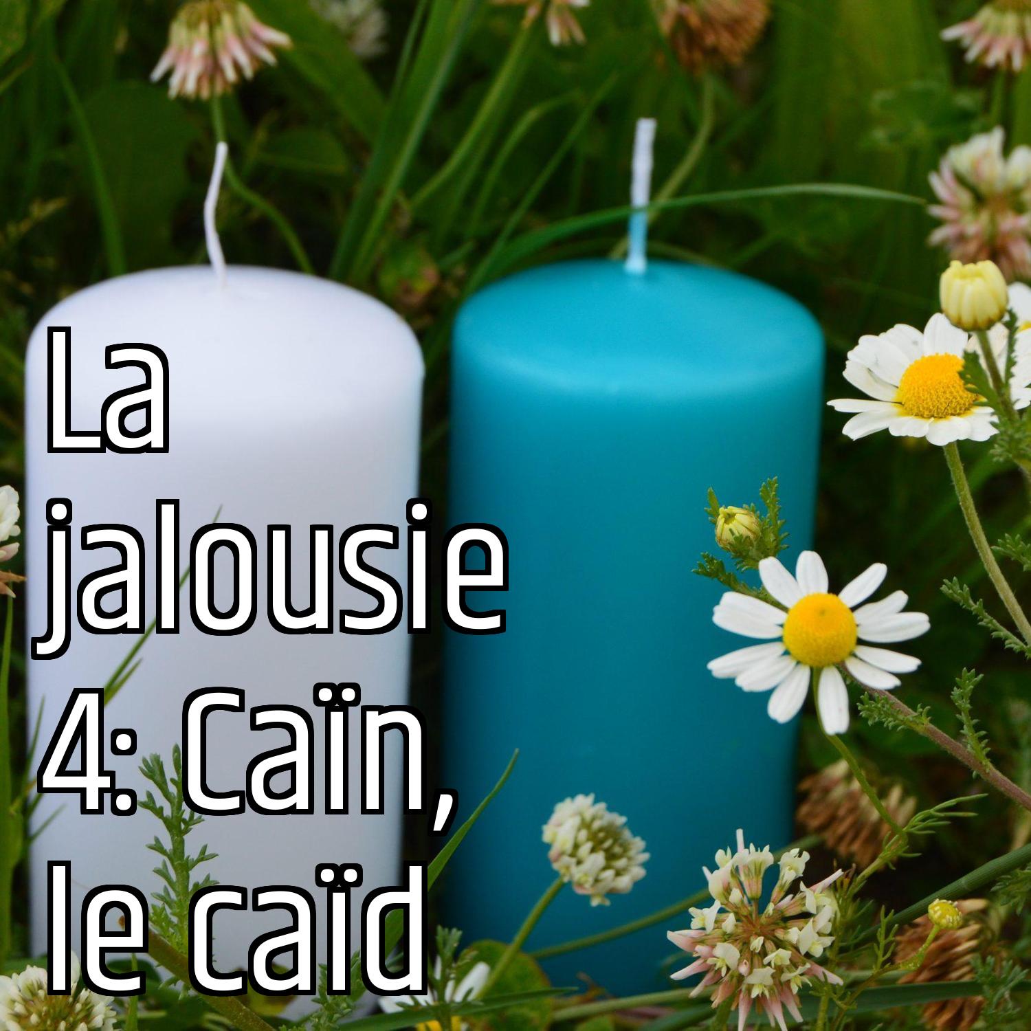 La jalousie 4: Caïn, le caïd