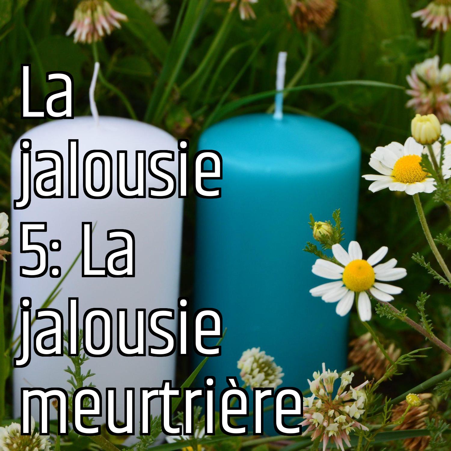 La jalousie 5: La jalousie meurtrière