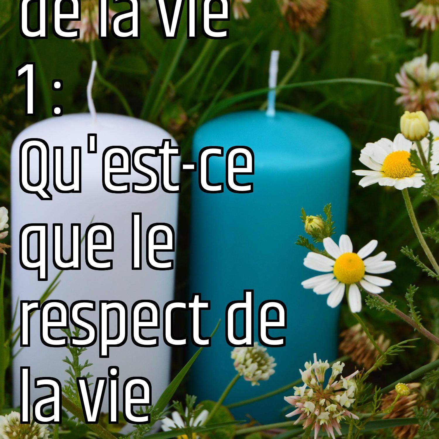 Le respect de la vie  1 : Qu'est-ce que le respect de la vie