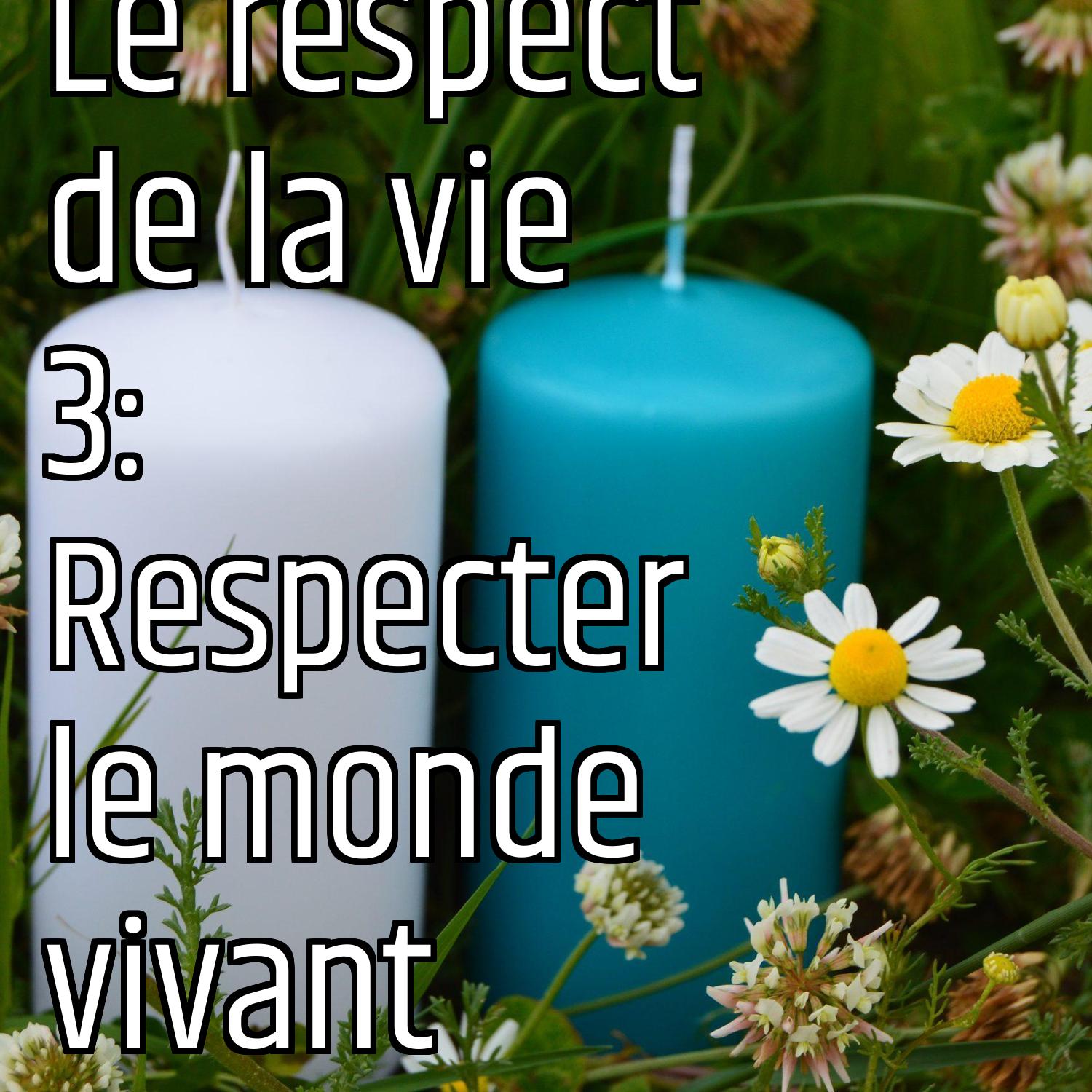 Le respect de la vie  3: Respecter le monde vivant episode artwork