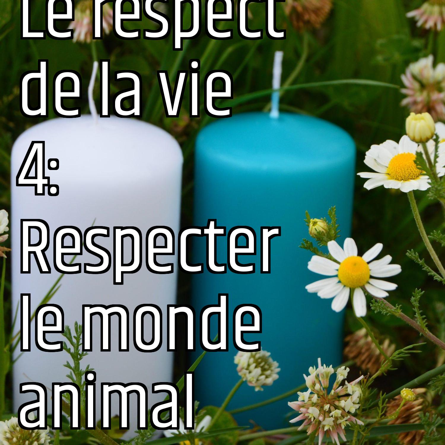 Le respect de la vie 4:  Respecter le monde animal episode artwork