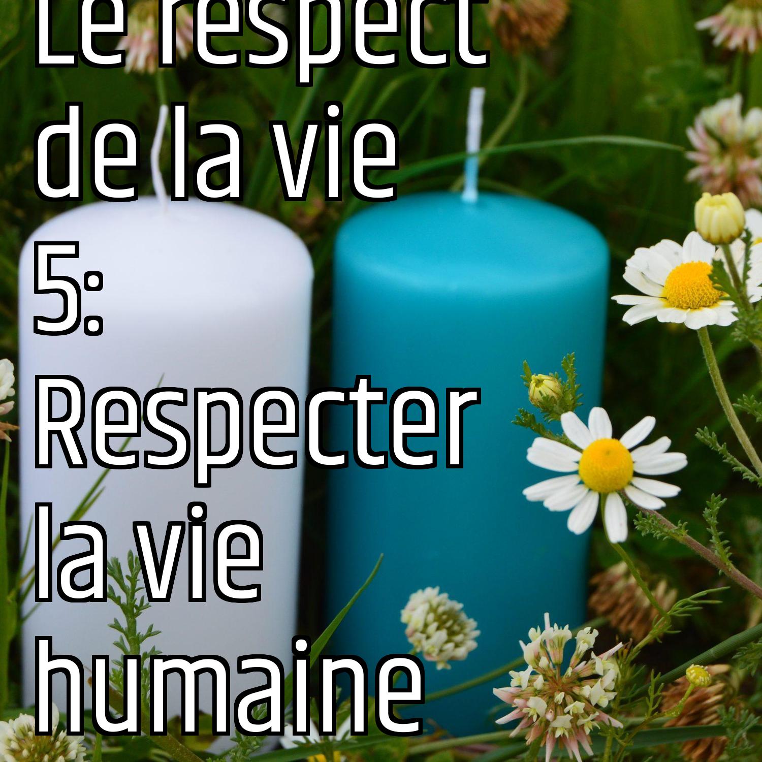 Le respect de la vie 5: Respecter la vie humaine