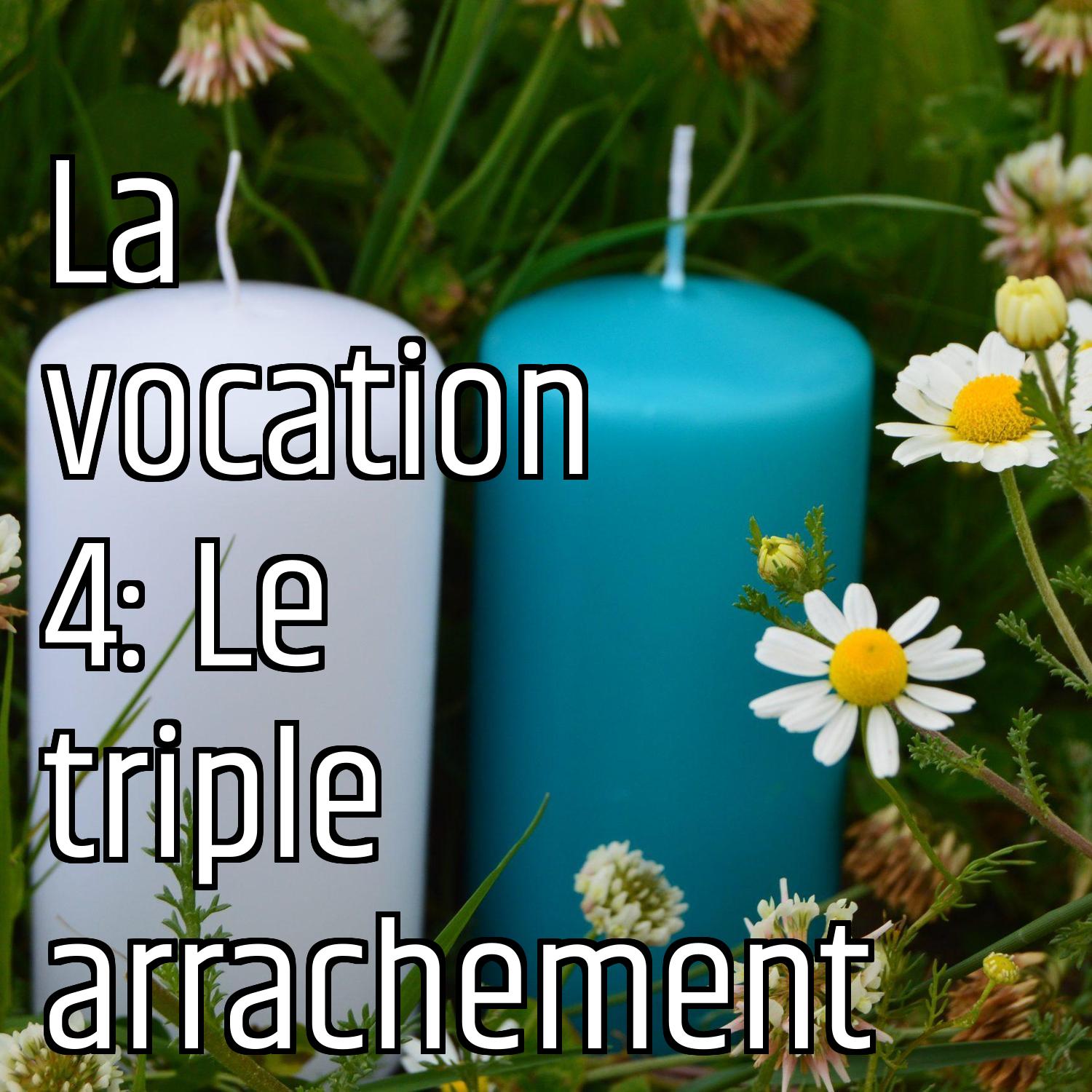 La vocation 4: Le triple arrachement