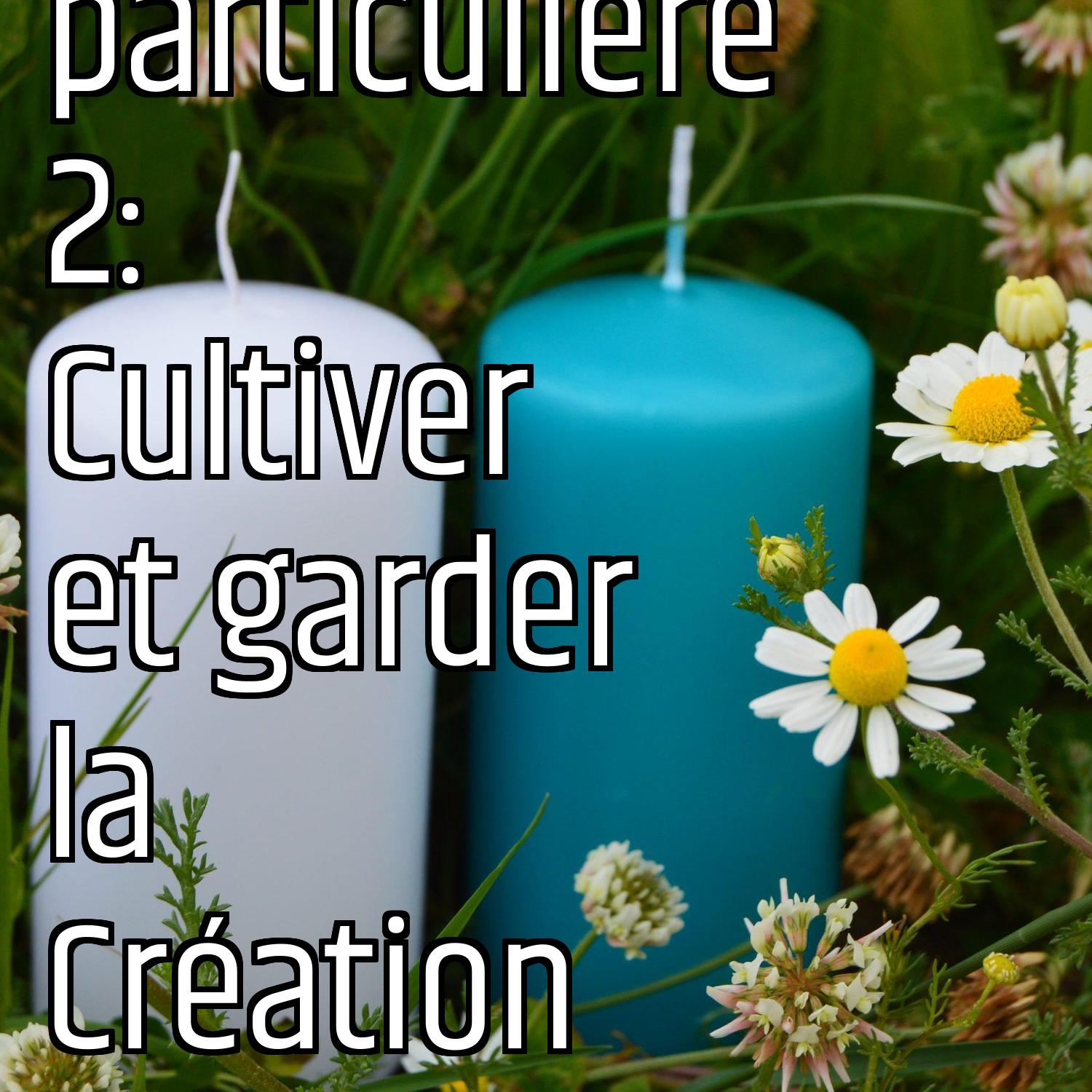 Vocation universelle et vocation particulière 2: Cultiver et garder la Création