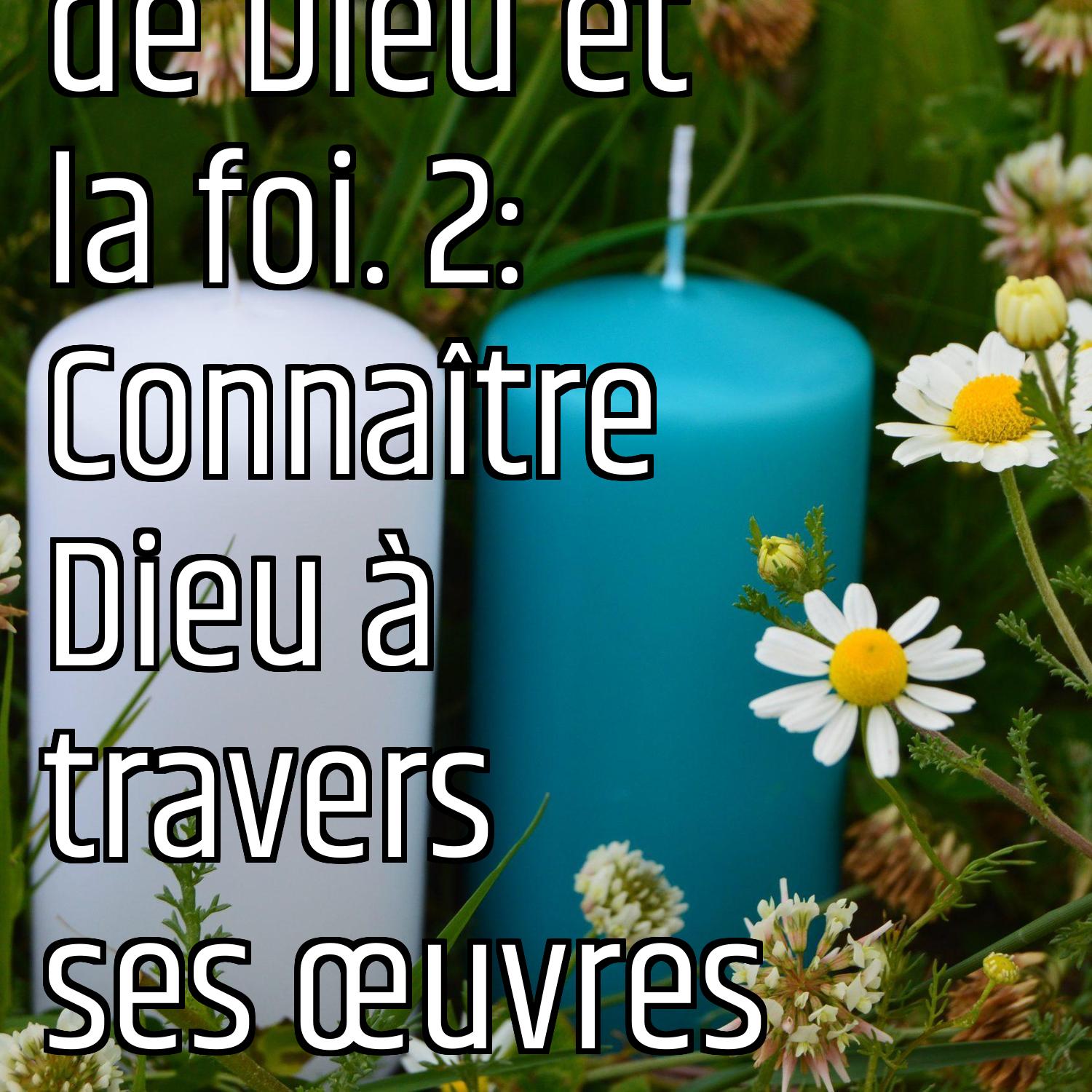 Revenons aux fondamentaux (1) : L'existence de Dieu et la foi. 2: Connaître Dieu à travers ses œuvres episode artwork