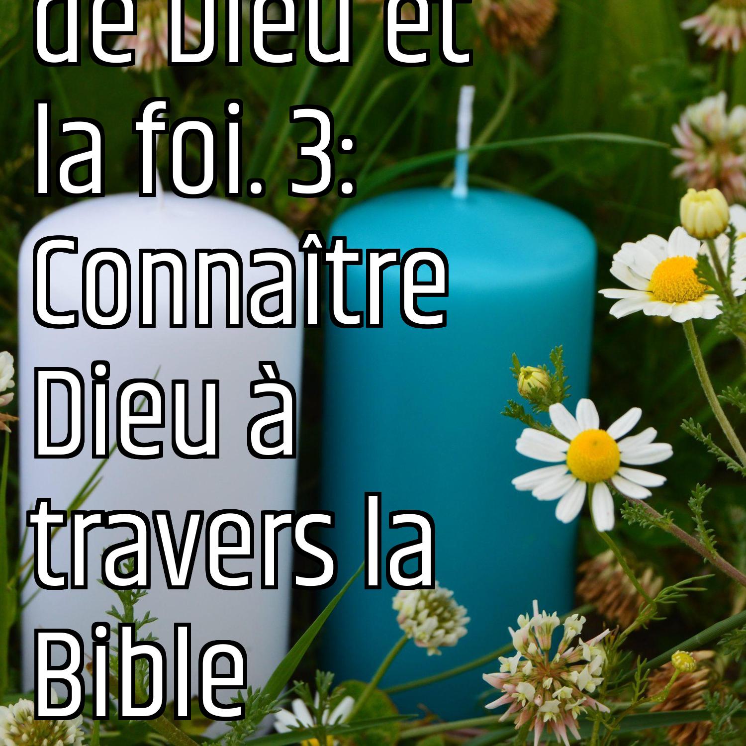 Revenons aux fondamentaux (1) : L'existence de Dieu et la foi. 3: Connaître Dieu à travers la Bible episode artwork