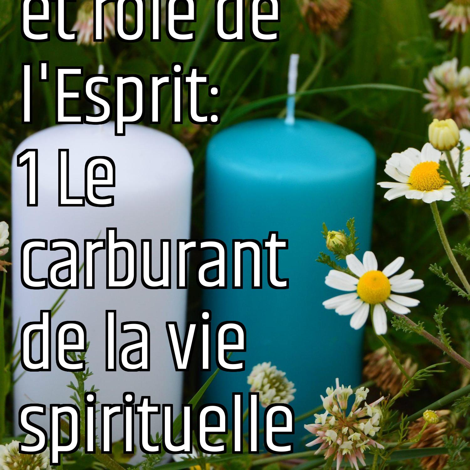 Revenons aux fondamentaux (3): Présence et rôle de l'Esprit: 1 Le carburant de la vie spirituelle episode artwork