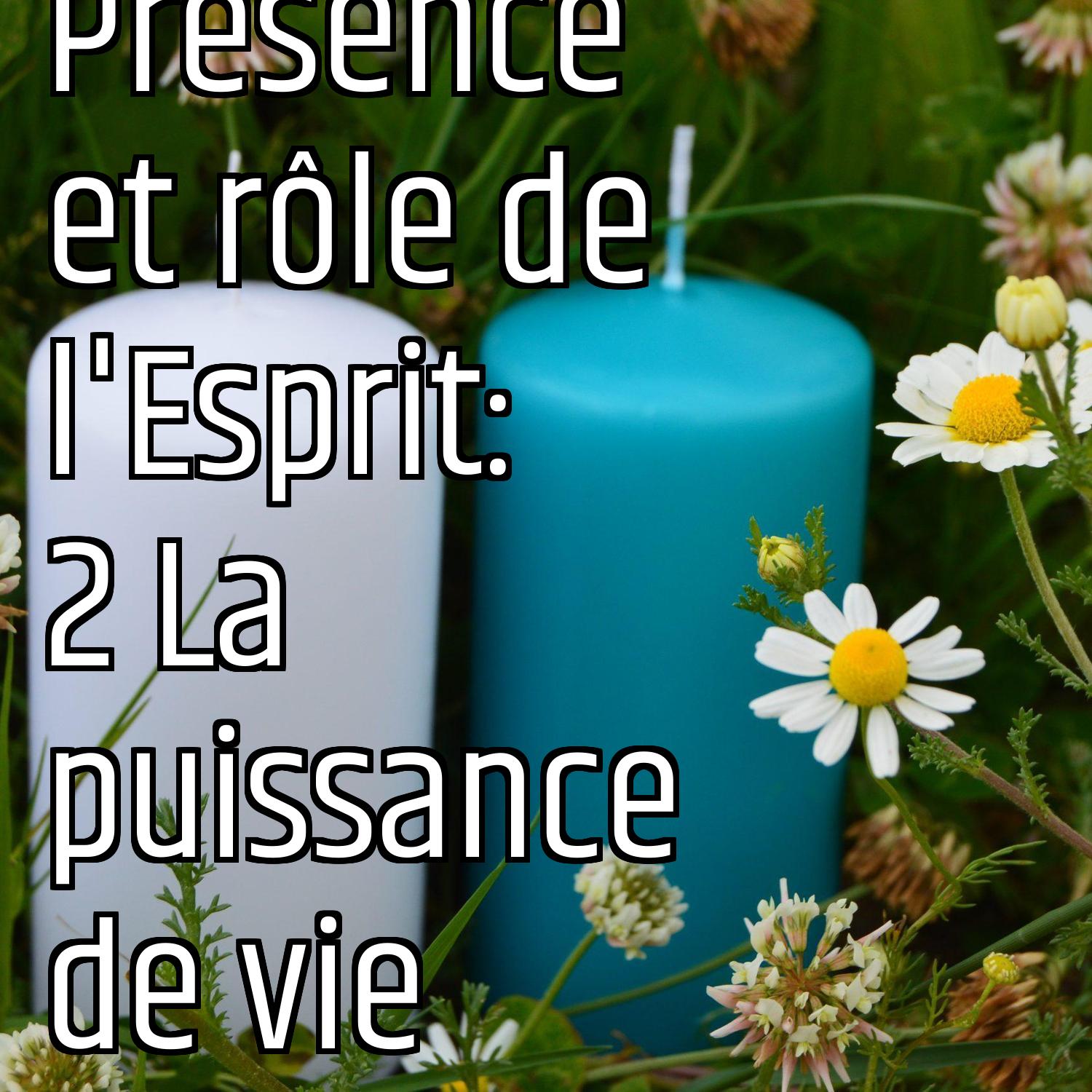 Revenons aux fondamentaux (3): Présence et rôle de l'Esprit: 2 La puissance de vie