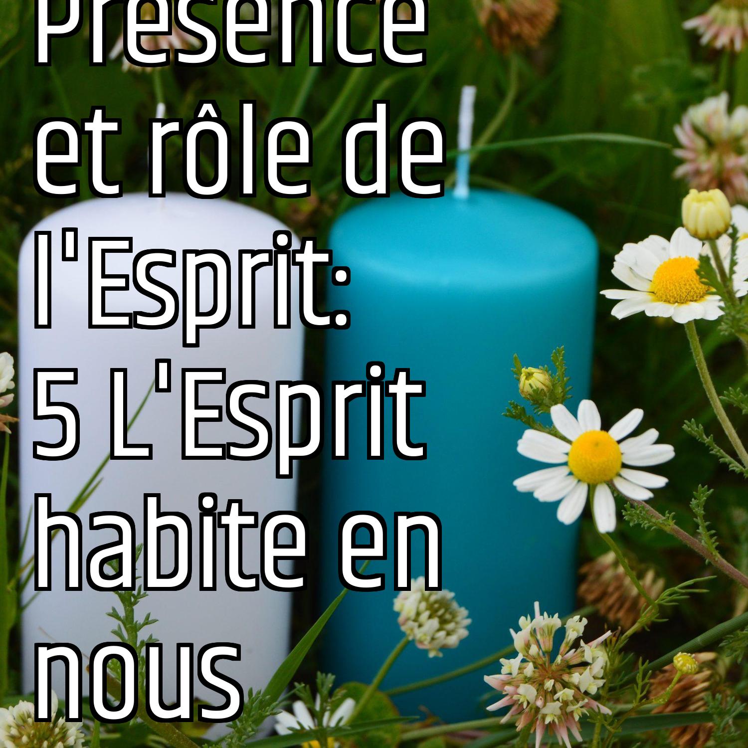 Revenons aux fondamentaux (3): Présence et rôle de l'Esprit: 5 L'Esprit habite en nous episode artwork