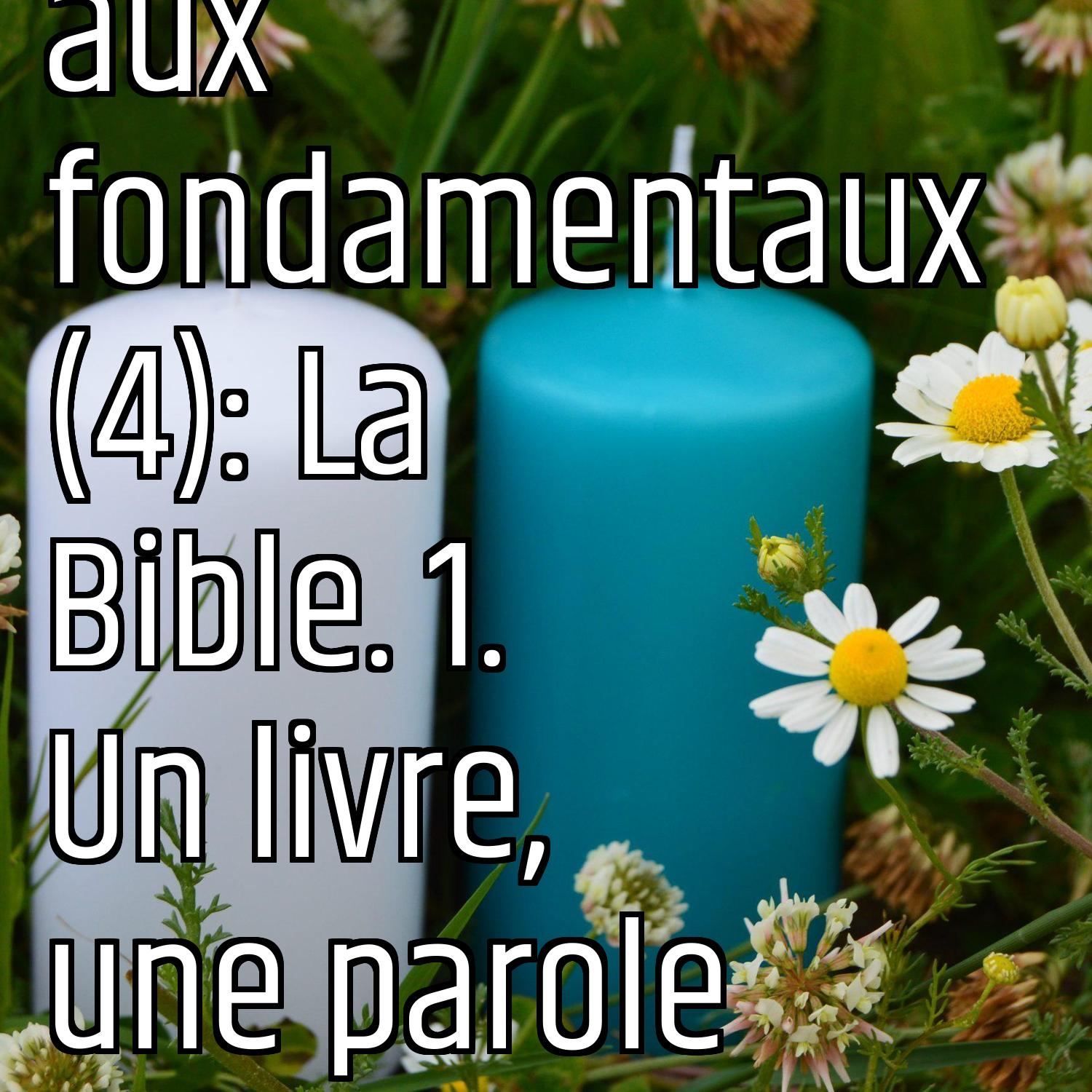 Revenons aux fondamentaux (4): La Bible. 1. Un livre, une parole episode artwork