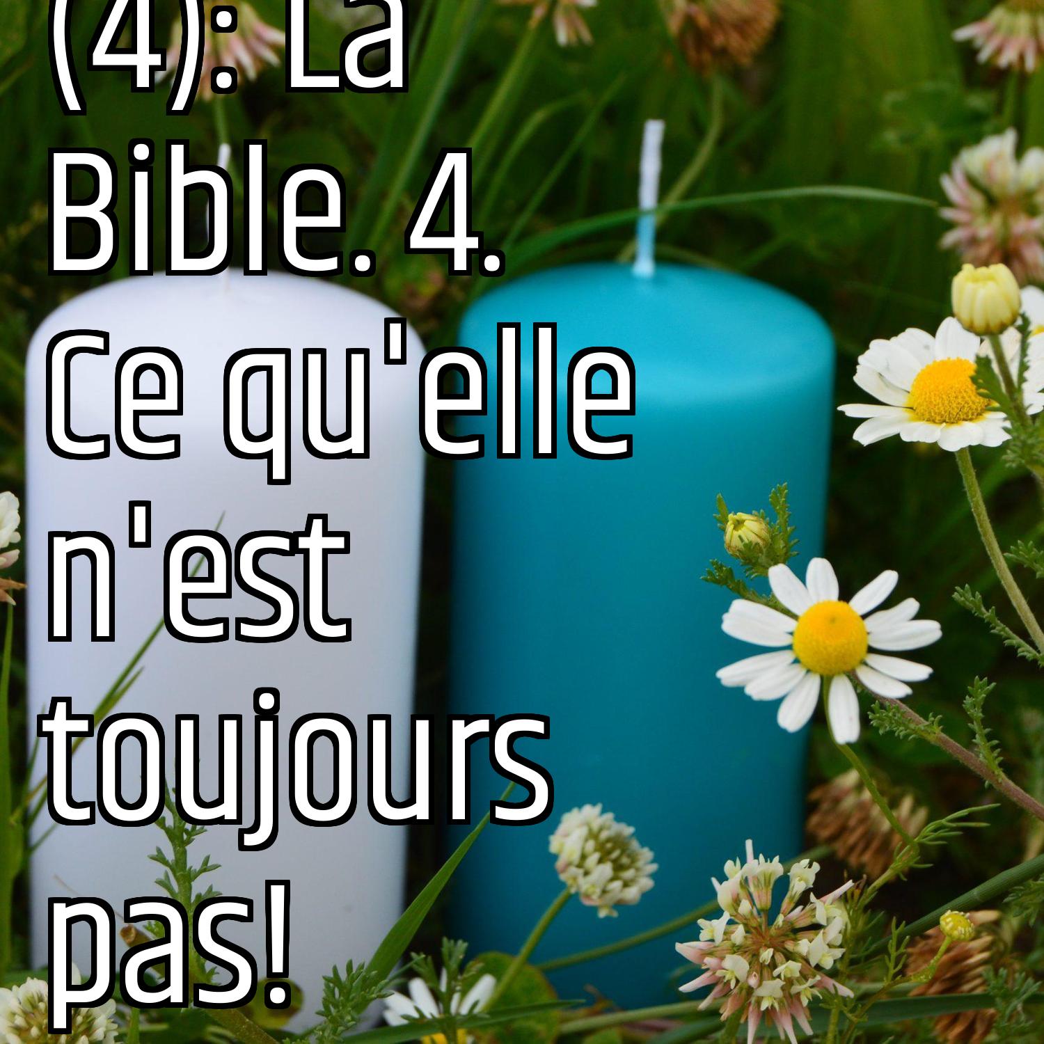 Revenons aux fondamentaux (4): La Bible. 4. Ce qu'elle n'est toujours pas!