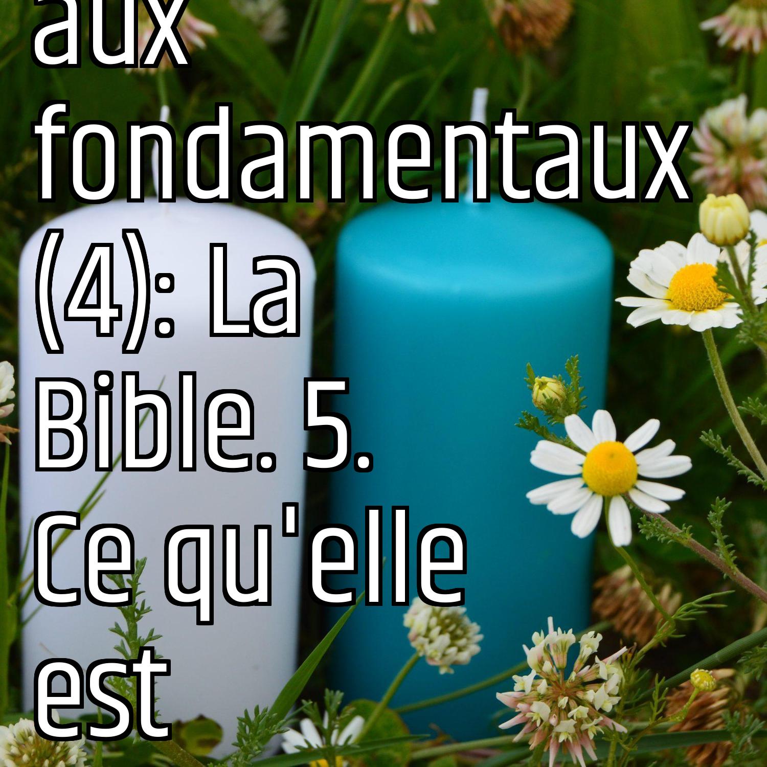 Revenons aux fondamentaux (4): La Bible. 5. Ce qu'elle est episode artwork