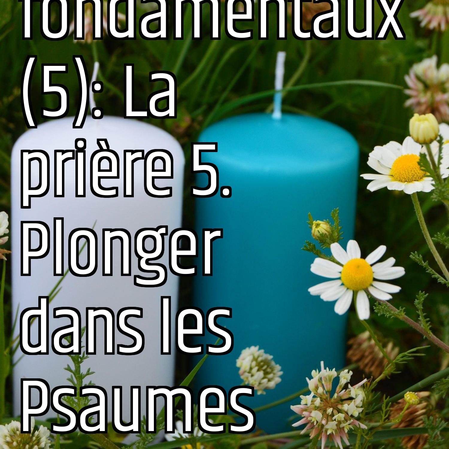 Revenons aux fondamentaux (5): La prière 5. Plonger dans les Psaumes episode artwork