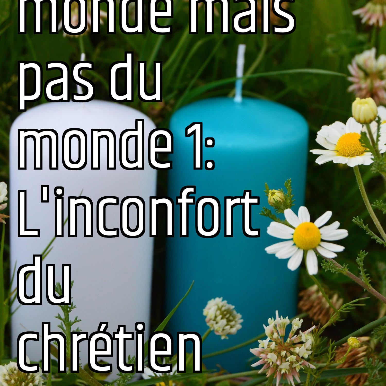 Dans le monde mais pas du monde 1: L'inconfort du chrétien episode artwork