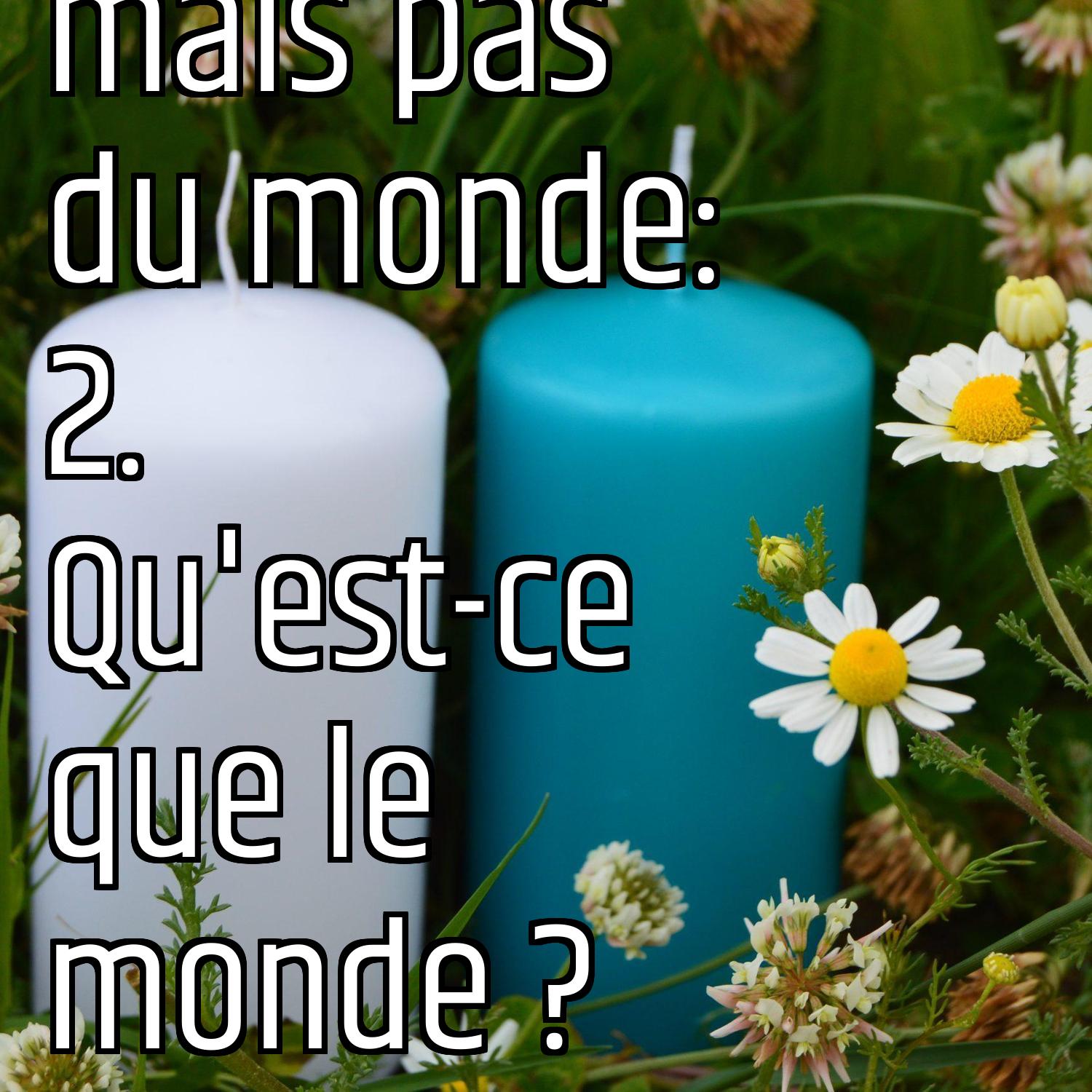 Dans le monde, mais pas du monde: 2. Qu'est-ce que le monde ? episode artwork