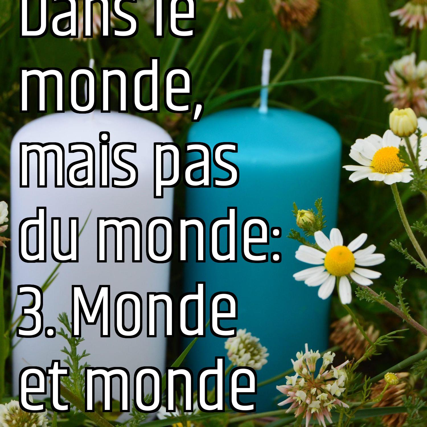 Dans le monde, mais pas du monde: 3. Monde et monde episode artwork