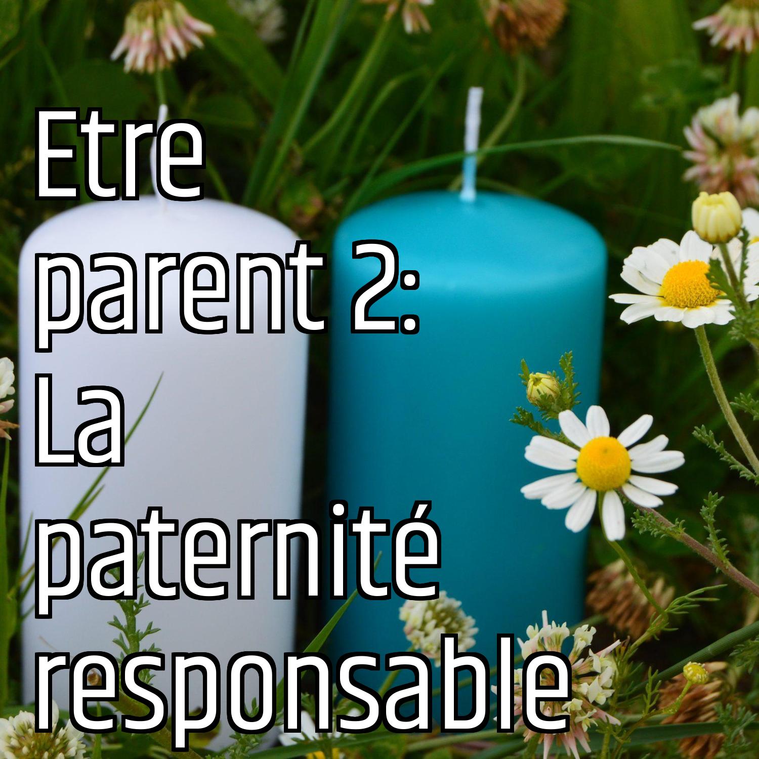 Etre parent 2: La paternité responsable episode artwork
