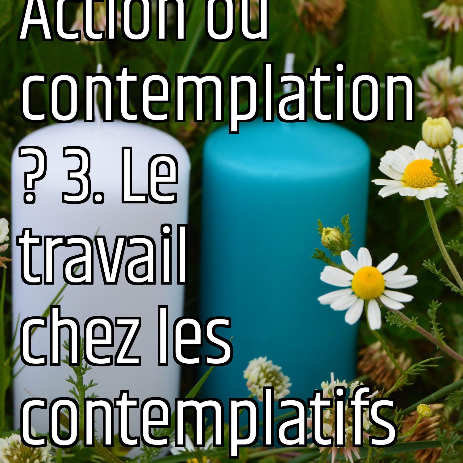 Action ou contemplation ? 3. Le travail chez les contemplatifs episode artwork