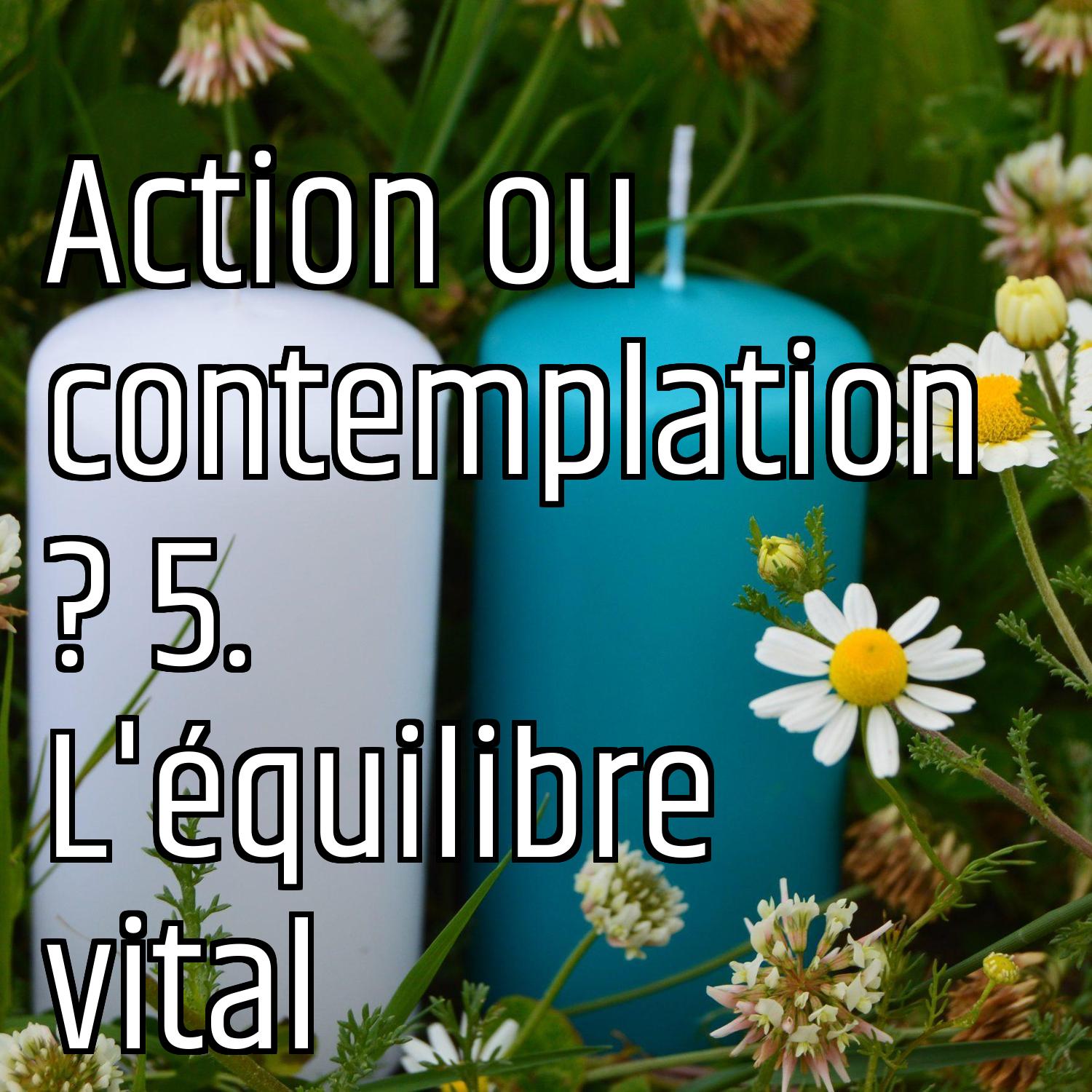 Action ou contemplation ? 5. L'équilibre vital episode artwork