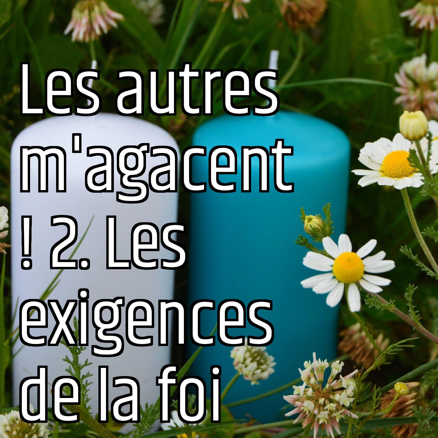 Les autres m'agacent ! 2. Les exigences de la foi episode artwork