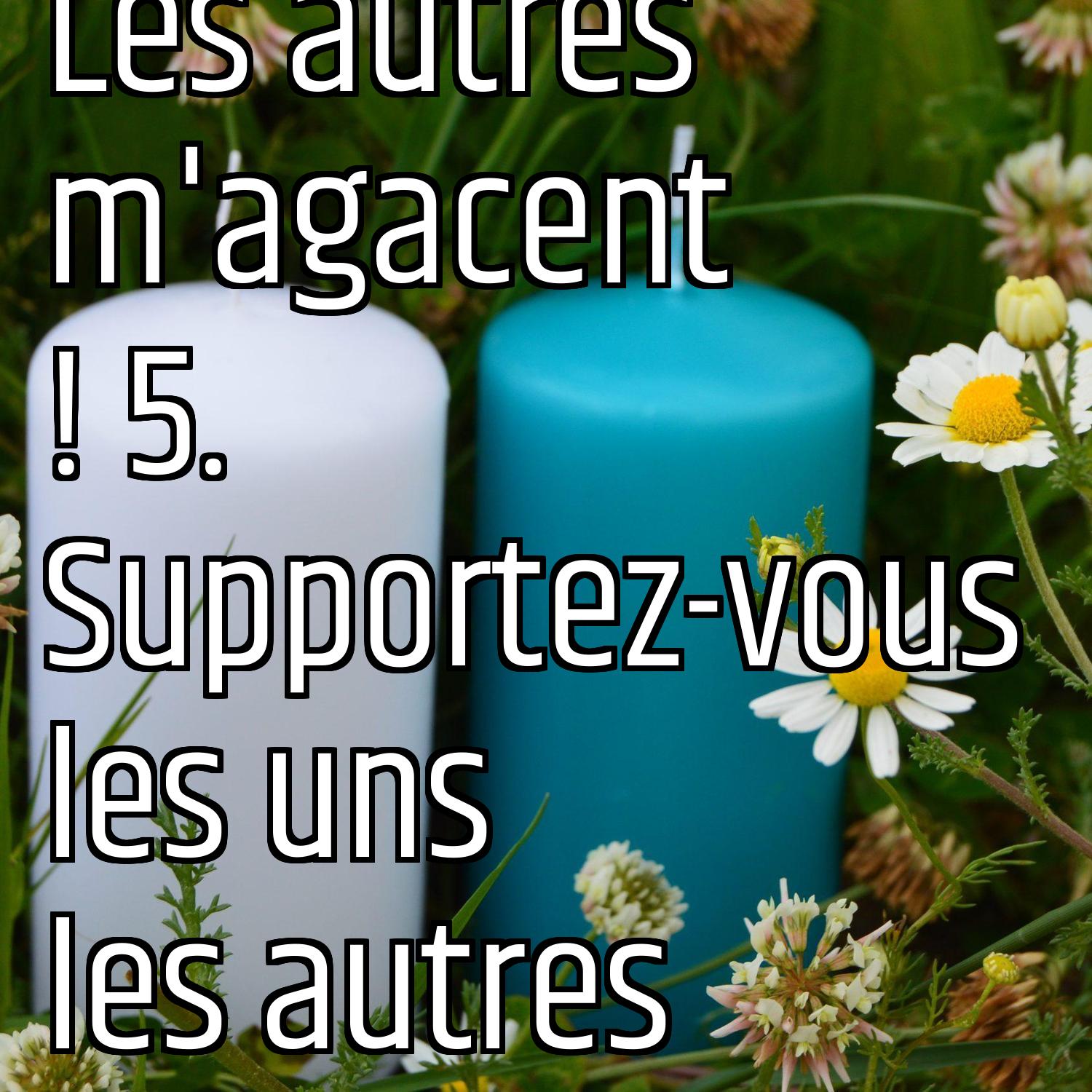 Les autres m'agacent ! 5. Supportez-vous les uns les autres episode artwork